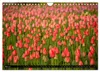 Tulpen (Wandkalender 2027 DIN A4 quer), CALVENDO Produktbild-Vorschau 8