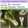 SAFLAX - Bio - Pekińska - Pak Choi - 300 Nasiona - Brassica Podgląd zdjęcia produktu 10