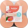 Bolsius Maxi-Teelichter orange 8h True Scents Pfirsich 8er Produktbild-Vorschau 1