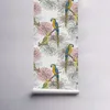 Coloray Fototapete 250x250 cm Latextapete Magicstick - Produktbild-Vorschau 4