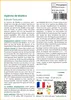 SAFLAX  - Vipérine de Madère - 100 graines - Avec substrat Voir les images du produit 3