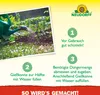 Neudorff  - Azet Tomaten- und GemüseDünger 1 Liter für 100L Produktbild-Vorschau 5