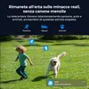 Sistema di sorveglianza Reolink RLK8-1200V4, telecamera di Anteprima dell’immagine prodotto 9