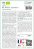 SAFLAX  -- Artichaut - Imperial star - 5 graines - Cynara Voir les images du produit 3