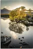 ARTland Leinwandbild Rannoch Moor, Highlands, Schottland Produktbild-Vorschau 1