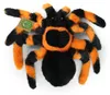 Pluche Tarantula Spin 20 Cm Eco-f Plush World Productafbeelding-voorbeeld 4