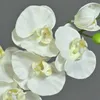 artplants.de Künstliche Blume Phalaenopsis Orchideen Zweig Produktbild-Vorschau 3