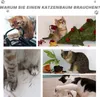 A collage of images showing cats interacting with various objects, some of which could be replaced by a cat tree. Produktbild-Vorschau