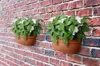 Blumenampel Elho Vibia Campana Kunststoff 35 x 16,2 x 14,8 Produktbild-Vorschau 3