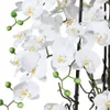 Umělá květina orchidej phalaenopsis aranžmá 68 cm bílá v Náhled obrázku produktu 2