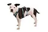 Ruffwear 30551-042M, Pies, Uprzęż kamizelkowa, M, Szary, Podgląd zdjęcia produktu 15