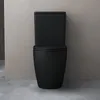 doporro WC à Poser Céramique Noir Mat Toilette avec Voir les images du produit 4