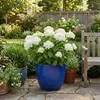 Pot de fleurs en céramique Eggpot bleu royal Ø29cm Voir les images du produit 2