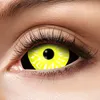 Zoelibat Eyecatcher Sclera 6 Monats-Kontaktlinsen Black Produktbild-Vorschau 4