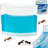 Aquarium en gel éducatif pour fourmis Voir les images du produit 1