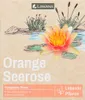 Lawana Seerose Nymphaea Sioux Orange - in Kokosfasern Produktbild-Vorschau 2