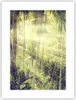 Poster - Poster ohne Rahmen - Morgendämmerung Dschungel Produktbild-Vorschau 1