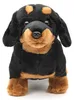 Teckel en peluche 30 cm ECO-FRIENDLY Voir les images du produit 2