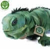 Plüsch Leguan Grün 68 cm Umweltfreundlich Produktbild-Vorschau 9