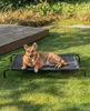 A dog is lying on a raised dog bed in a grassy yard next to a wooden deck. Anteprima dell’immagine prodotto