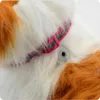 Lolex | Interaktiver Hund - Corgi - Bunt - Realistische Produktbild-Vorschau 13