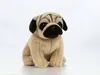 Living Nature - Cagnolino di peluche Carlino, 20 cm Anteprima dell’immagine prodotto 8