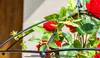 KADAX Parasolka Ogrodowa Róże Pnącza Bluszcz 190 cm Podgląd zdjęcia produktu 9