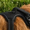 Pettorina anti-tiro per cani Belviona, pettorina a Y Anteprima dell’immagine prodotto 3
