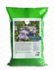 Phacelia Gründünger 1 kg Produktbild-Vorschau 1