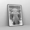 Gerahmtes Poster - Schwarzer Rahmen - Elefant Afrika Tier - Produktbild-Vorschau 8
