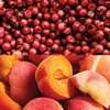 Avon Perfect Nonsense Peppery Peaches, eau de toilette - 50 Voir les images du produit 4