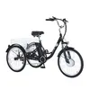 GF100 Elektrisches Dreirad, 36V,18AH,250W, 24-Zoll-Reifen, Produktbild-Vorschau 1