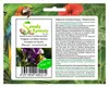 10x Polygala myrtifolia Myrten Kreuzblume Garten Pflanzen - Produktbild-Vorschau 1