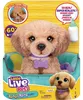 Moose Toys Little Live Pets - My Really Real Puppy Bailey, Produktbild-Vorschau 5