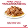 Royal Canin Ultra Light 85g x 12, Senior, 85 g Produktbild-Vorschau 3
