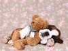 CALVENDO Puzzle Deutscher Boxer Welpe / German Boxer Puppy Produktbild-Vorschau 3