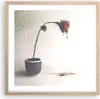 Gerahmtes Poster - Rahmen in heller Eiche - Symbol Rose Produktbild-Vorschau 1
