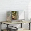 vidaXL Terrarium mit Speicher Transparent 40 x 30 x 30 cm Produktbild-Vorschau 3