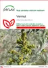 SAFLAX - vermut - Artemisia absinthum - 500 Semena Náhled obrázku produktu 1