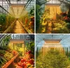 Collage of four images showing different greenhouse setups with plants and produce, illuminated by LED grow lights. Náhľad obrázku produktu