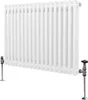 Radiatore tradizionale a 2 colonne - 600 x 832 mm - Bianco2 Anteprima dell’immagine prodotto 1