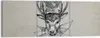 Bild auf Leinwand - Leinwandbild - Hirsch Geweih Wald - Produktbild-Vorschau 1