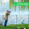 A man photographs swans by a lake, separated by a metal fence. Produktbild-Vorschau