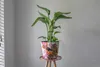 TS Collection - Vase Consich Sweet magnolia - 21x18 Produktbild-Vorschau 3