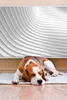 A beagle dog sleeping on a mat in front of a white, wavy wall. Produktbild-Vorschau