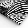 Bild auf Leinwand - Leinwandbild - Tier Zebra Streifen - Produktbild-Vorschau 5