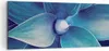 Bild auf Leinwand - Leinwandbild - Einteilig - Agave Blau Produktbild-Vorschau 1
