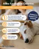 NutriLabs Canicox-HD Gelenktabletten für Hunde 100 STK. - Produktbild-Vorschau 3