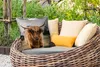 MuchoWow® Outdoor Kissen - Schottisches Hochlandrind - Kuh Produktbild-Vorschau 3