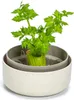 Artikelbild 1 von 'Pflanzschale ReGrow' aus der Kategorie Keimschale Produktbild-Vorschau